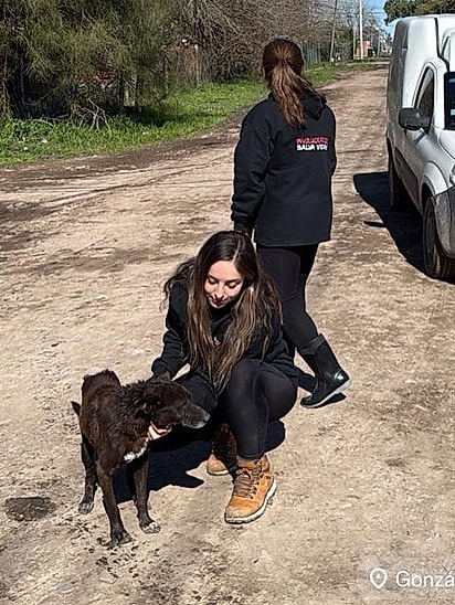 Gaspar se aproximou devagar das voluntárias do abrigo.