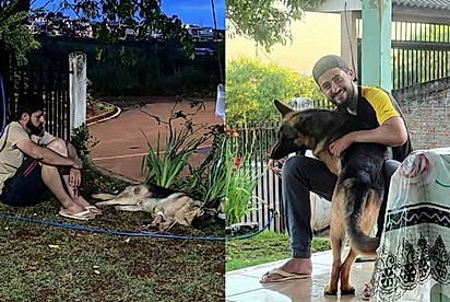 Homem fica dia e noite ao lado de cão em recuperação e, depois de muita luta, recebe abraço inesquecível de gratidão