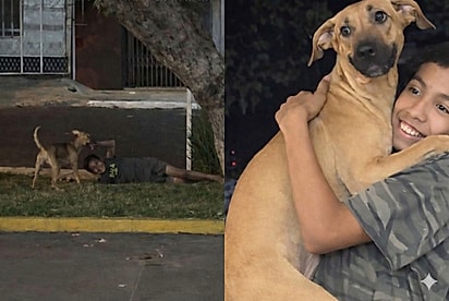 “O amor diz tudo sobre quem ele é”: Jovem se emociona ao presenciar cena de menino que trabalha no farol e seu vira-latinha