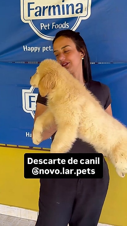 O cãozinho também chegou mal cuidado. 