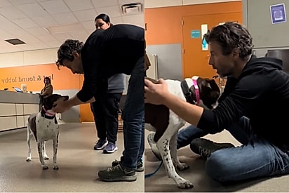 “Era ela”: Homem viaja 724 km após ligação de abrigo e reencontra cachorrinha que ajudou 12 anos atrás