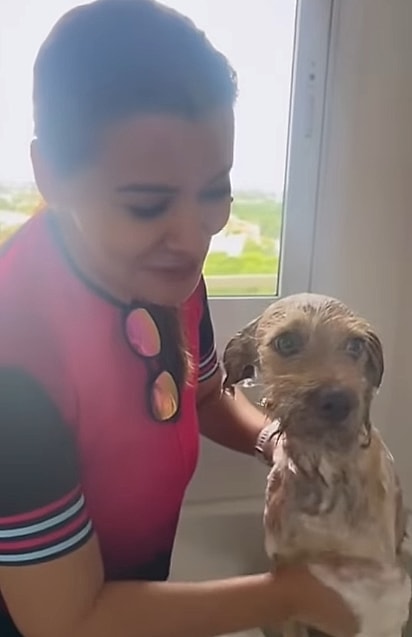 Primeiro banho de Mel.