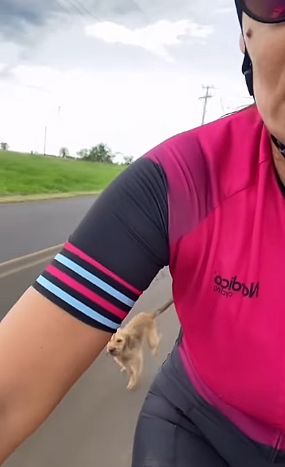 A cachorrinha começou a seguir a ciclista.