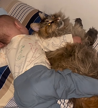 Mavie também virou naninha.