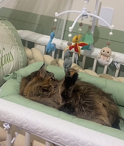 Mavie achou que o enxoval era para ela.