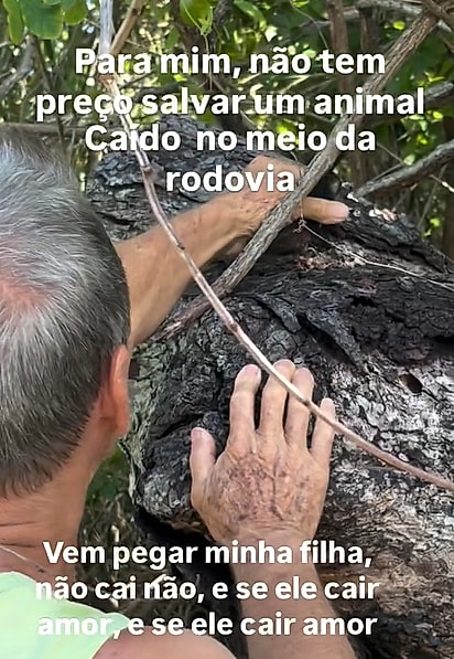 Francisco Trevezani facilitou o encontro do filhote com a mãe.