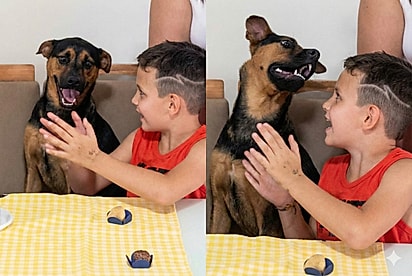 Cão Gustavo Augusto faz aniversário, distribui lambeijos e conquista a internet