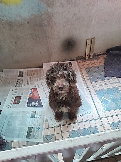 Por muitos anos, João viveu nas ruas antes de ser resgatado.