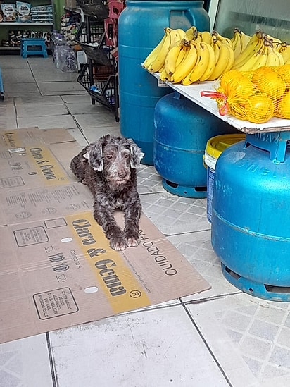 Dona Valdirene passou a cuidar do João com muito carinho.