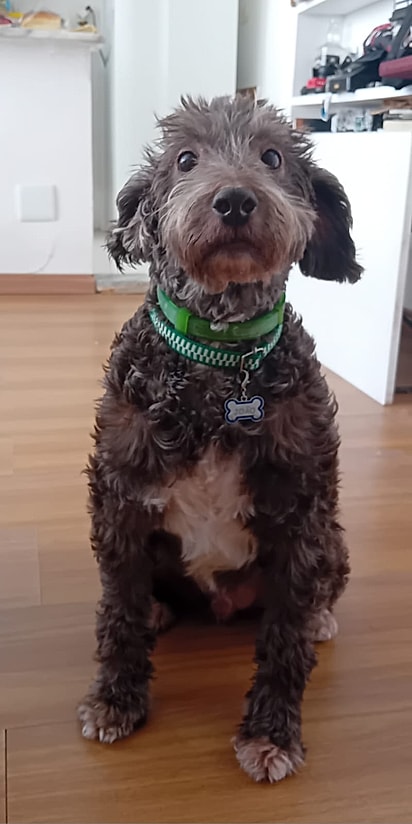 Através do Projeto Faustina, Jão encontrou a sua família para sempre.