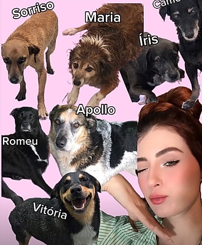 Os cães da Kaylane Mendes.