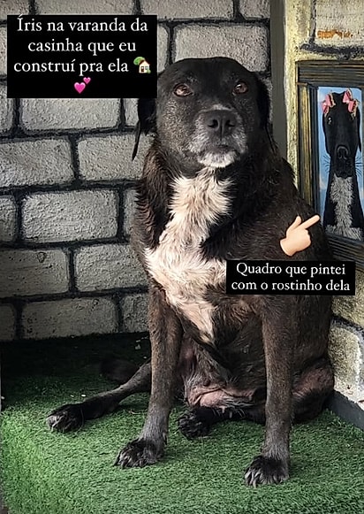Kaylane Mendes é apixonada por seus animais.