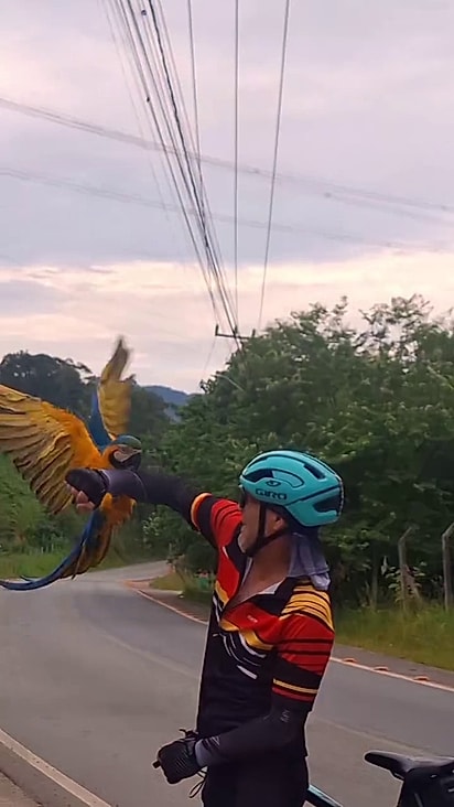 A ave voou desde onde estava até os ciclistas.