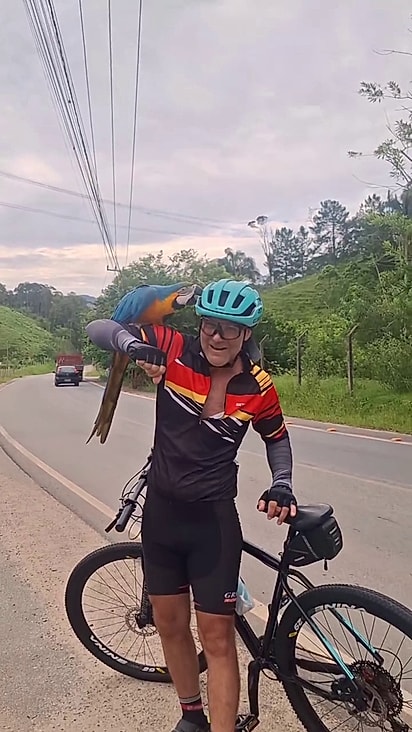 Os ciclistas ficaram surpresos com a interação da ave.