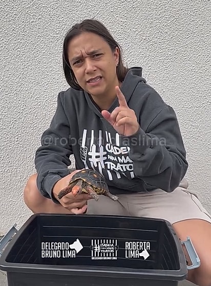 Jabutis só podem ser adquiridas de criadouros ou estabelecimentos autorizados pelo Ibama.