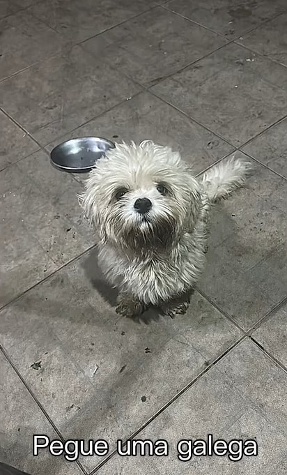 O pai sendo um galego.