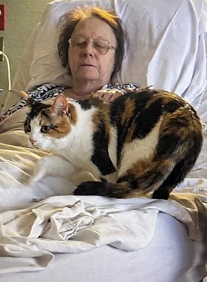 A gatinha Maggie no colo da sua tutora.