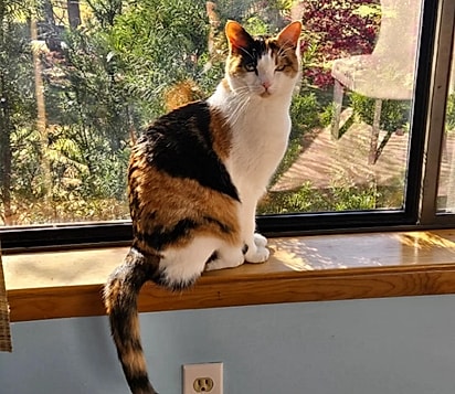 Maggie tem superado o luto ao lado das filhas de sua tutora.