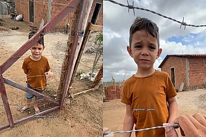 Menino emociona a internet ao tentar explicar a dor de perder seu gatinho