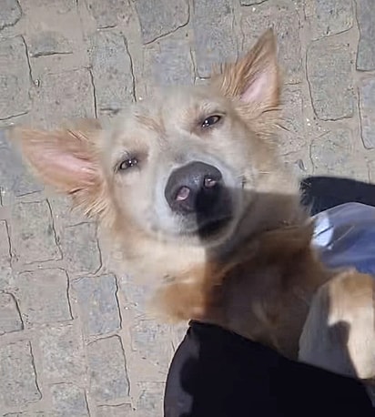 Ao ouvir o nome, ele reagiu.