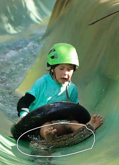 O garotinho desceu o toboágua junto com uma cobra.