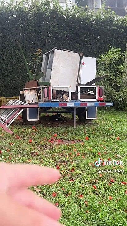A gata era de rua e pariu no quintal da mãe de Mari.