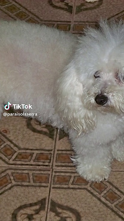 Pink foi muito imporante para a família.