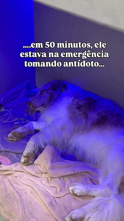 Ragnar precisou tomar antídoto duas vezes.