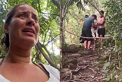 “Corrida contra o tempo”: Tutores carregam border collie de 25 kg após incidente com outro animal na trilha