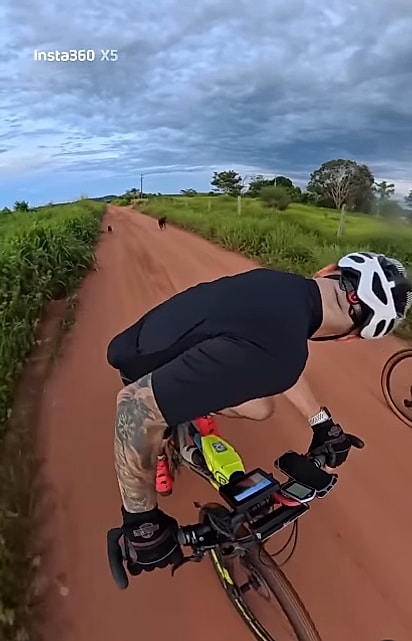 Marcus Augusto percebeu que os cães estavam seguindo o pelotão.