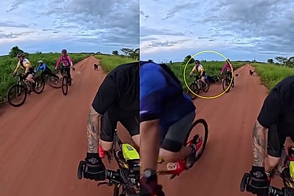 “Era brincadeira, tia!”: Cachorros param perseguição ao perceber que ciclista caiu e reação inesperada viraliza
