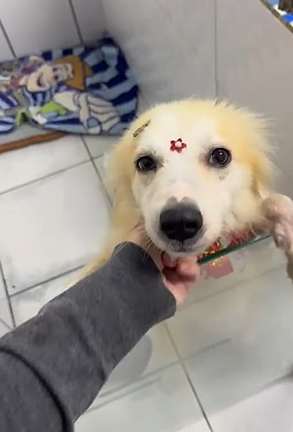 A cada dia, ela estava melhor.