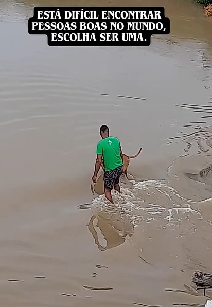 Gilmar enfrentou a enchente e resgatou o vira-latinha.