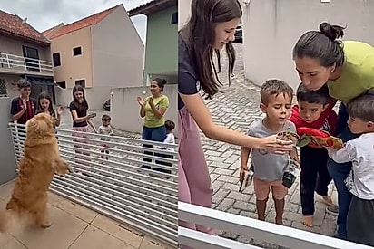 Golden ganha festa surpresa dos vizinhos e reação encanta