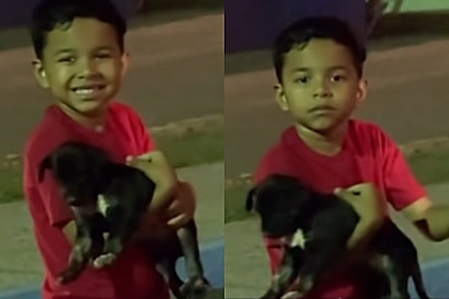 Ao ouvir que não, o sorriso do menino desapareceu na hora.