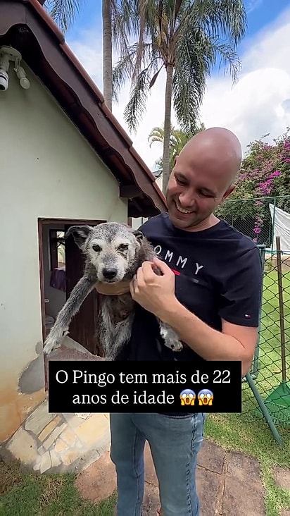 O pet ganhou uma casa adaptada só para ele.