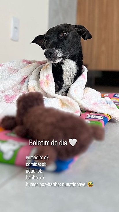 Lisa está se recuperando.