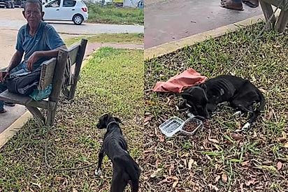 Mulher atende pedido de morador de rua e resgata cachorrinha doente
