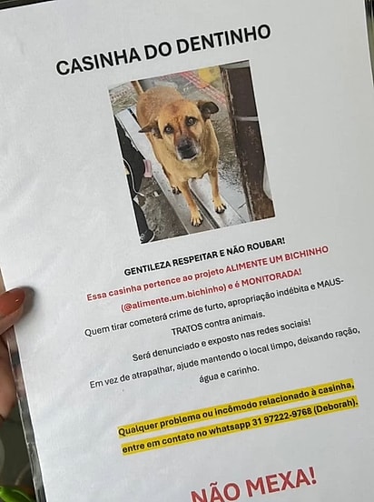Plaquinha explicativa que a ONG deixou ao lado da casinha de Dentinho.