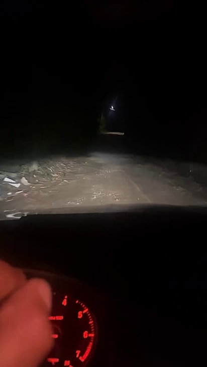 Eles foram abandonados em uma área sem iluminação pública.