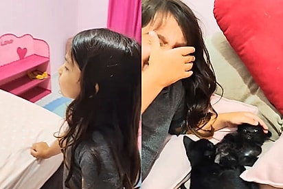 “Um bicho estranho entrou em casa”: mãe surpreende filha com dois gatinhos pretinhos e emociona a internet