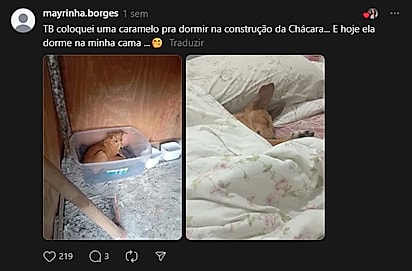 Internautas compartilharam relatos parecidos.