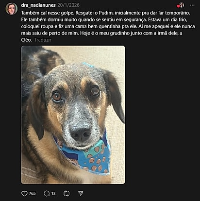 Internautas compartilharam relatos parecidos.