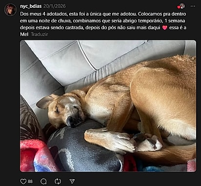 Internautas compartilharam relatos parecidos.