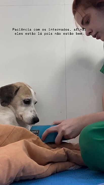 Duda conseguiu convencer a cachorrinha a comer.