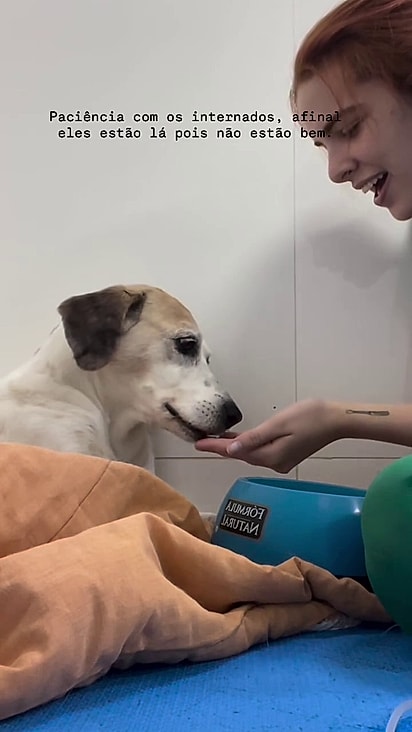 A veterinária disse que ela melhorou e já recebeu alta.