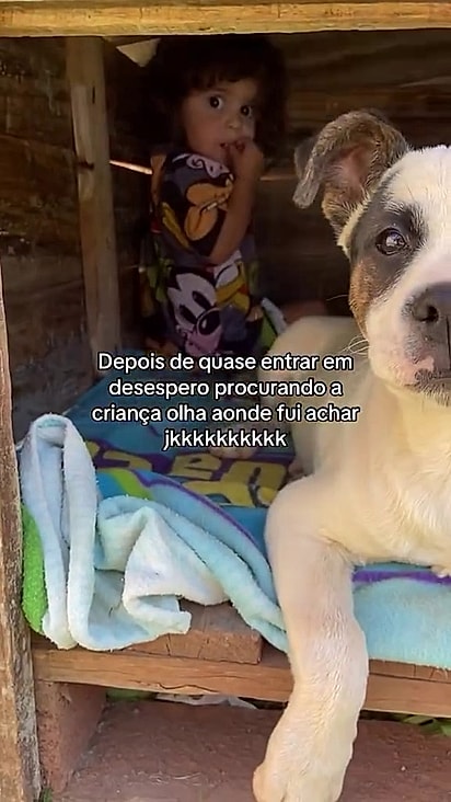 Nos comentários, Alexia disse que eles não se desgrudam.