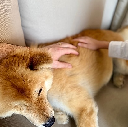 Mirolho, outro sobrevivente adotado pelo delegado.