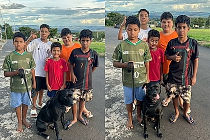 O grupo tirou fotos com o cão.