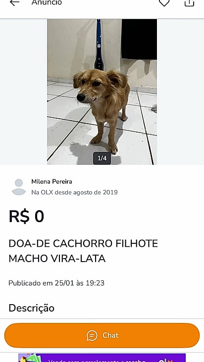 Milena Pereira publicou um anúncio de Billy na OLX na tentativa de encontrar sua família..